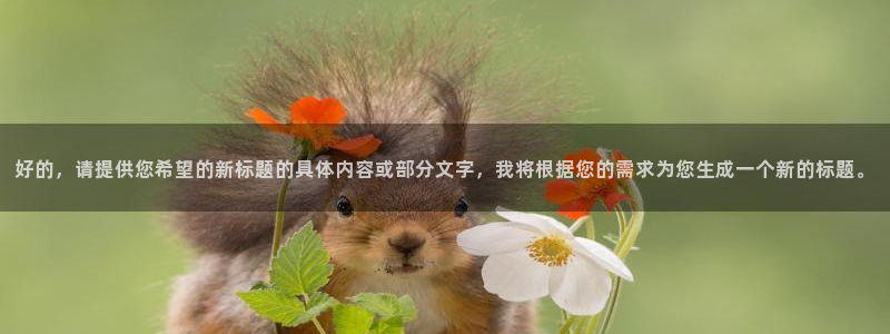 虫虫漫画开心网：好的，请提供您希望的新标题的具体内容或部分文字，我将根据您的需求为您生成一个新的标题。