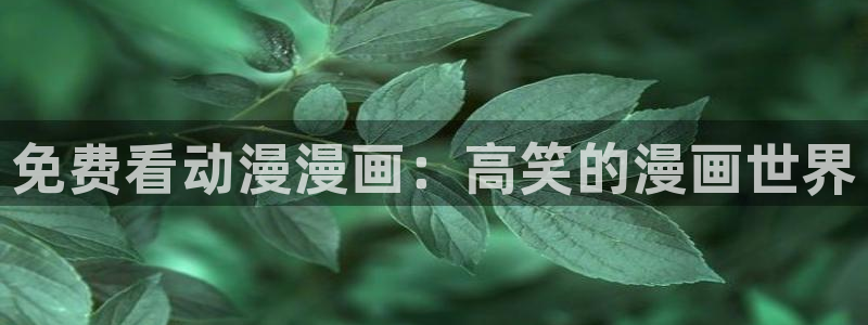 虫虫漫画免费在线阅读：免费看动漫漫画：高笑的漫画世界