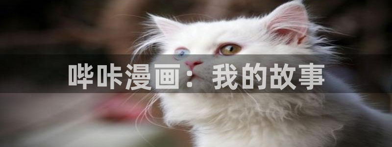 虫虫漫画下载了会怎么样：哔咔漫画：我的故事