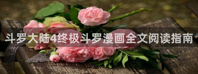 虫虫漫画免费漫画在线看：斗罗大陆4终极斗罗漫画全文阅读指南