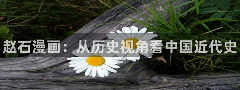 虫虫漫画入口网站：赵石漫画：从历史视角看中国近代史