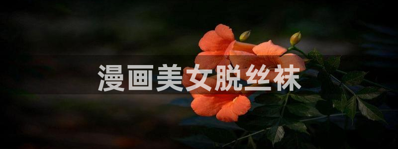 虫虫漫画免费漫画在线观看入口