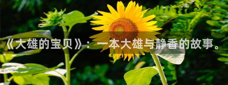 虫虫漫画吧1000字