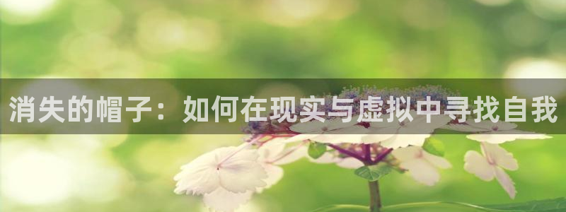 虫虫漫画页面免费漫画：消失的帽子：如何在现实与虚拟中寻找自我
