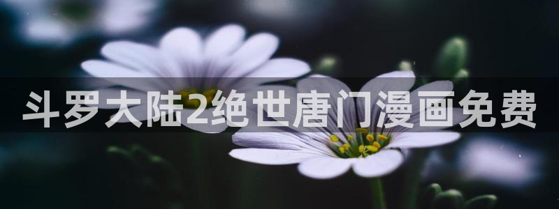 虫虫漫画网入口免费：斗罗大陆2绝世唐门漫画免费