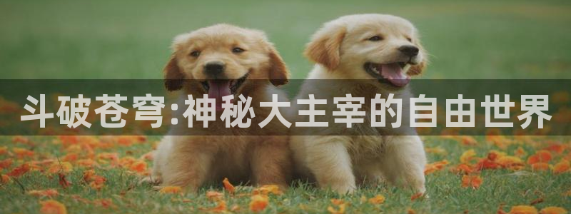 虫虫漫画免费弹窗：斗破苍穹:神秘大主宰的自由世界